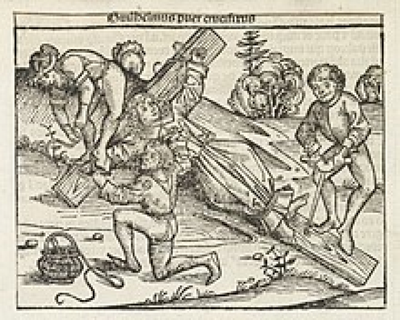 Guillaume de Norwich